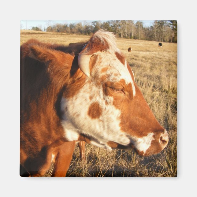 Íman de vaca: Rico (Frente)