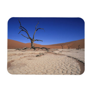 Íman Dead Vlei, Sossusvlei, Parque Nacional Namib-Naukl