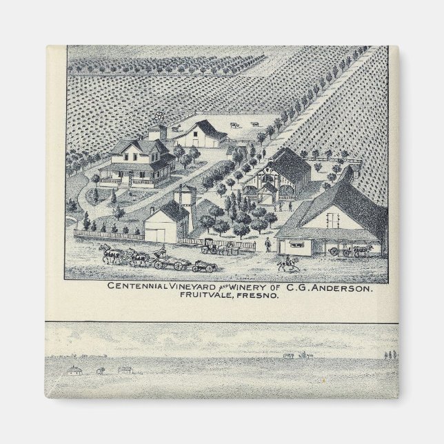 Íman Deardorff e Centennial Vineyards, Califórnia (Frente)