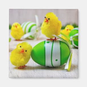 Íman Decoração da Páscoa - Ovos e pintinhos de Pásc