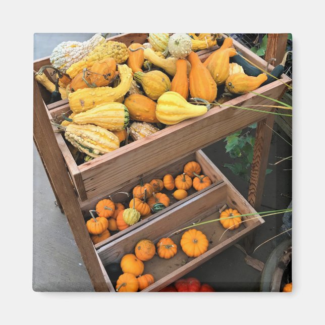 Íman Decoração do outono (Frente)