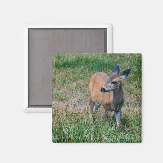 Íman Deer (Front/Back)