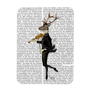 Íman Deer dançante com Violin