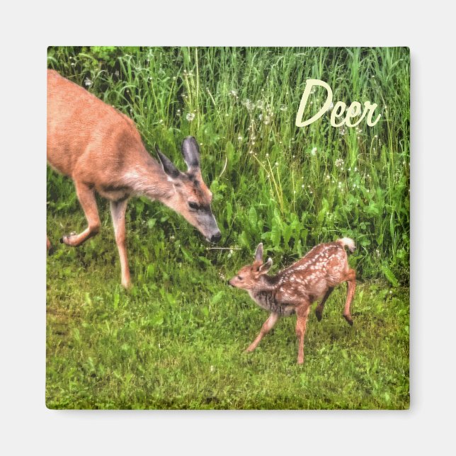 Íman Deer Doe Fawn Wildlife Design (Frente)