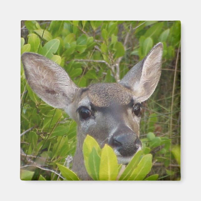 Íman Deer Lovers - Ideias de presentes (Frente)