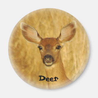 Íman Deer Magnet