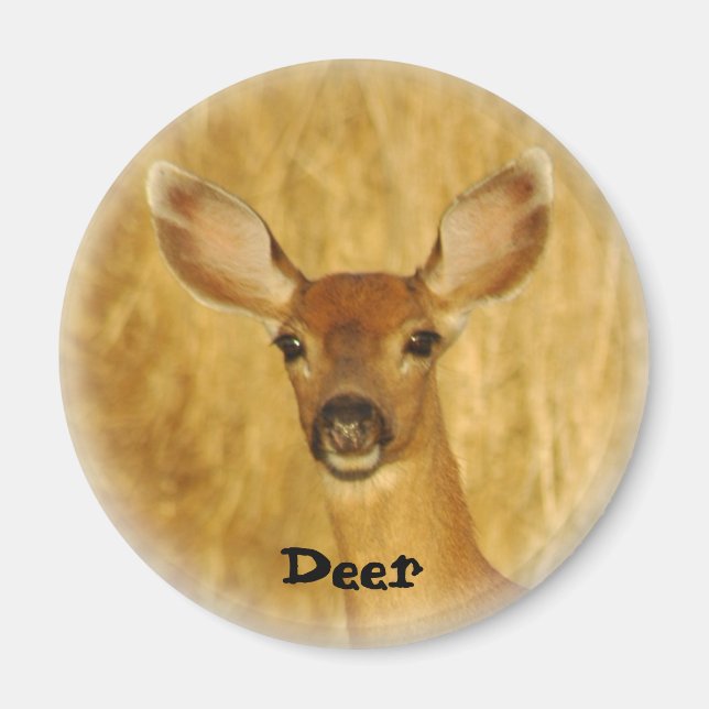 Íman Deer Magnet (Frente)