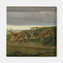 Deer on the Prairie (por William Holbrook Beard)