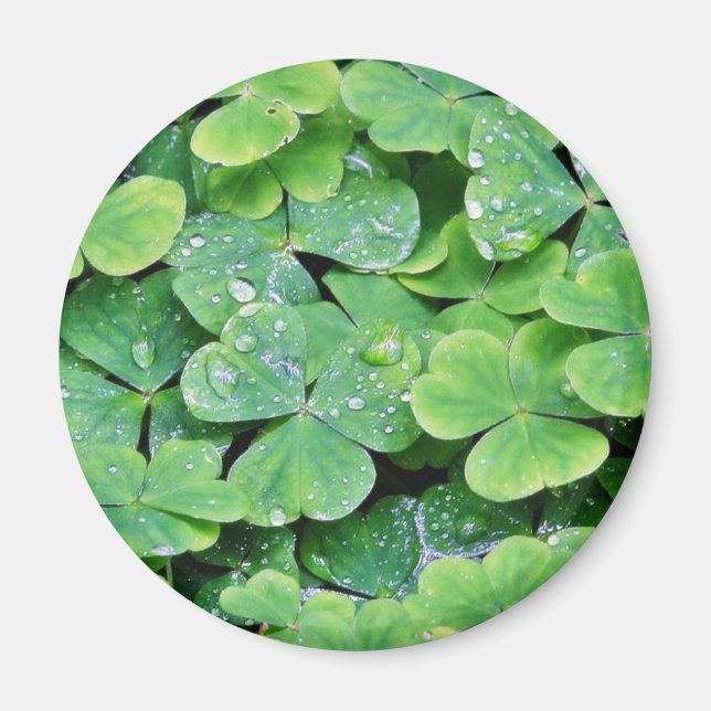 Íman Deerpark Ireland Clover Dew Drops (Frente)