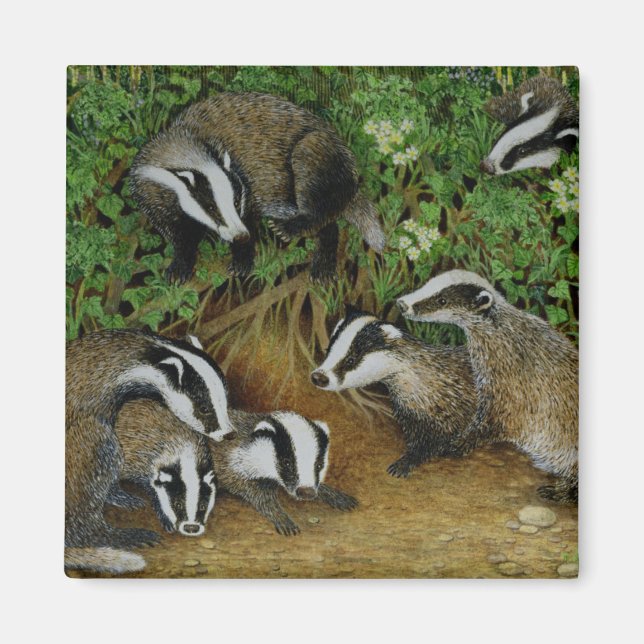 Íman Definição (Frente)