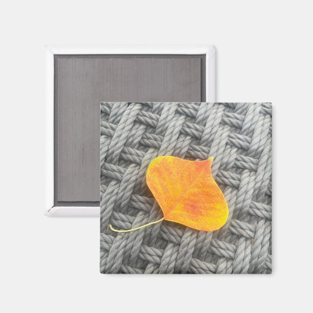 Íman Deixa o Magnet (Front/Back)