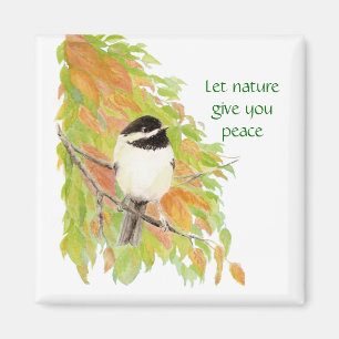 Íman Deixe a natureza dar-lhe a paz, Chickadee do
