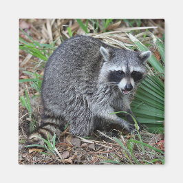 Íman Deixe-me sozinho