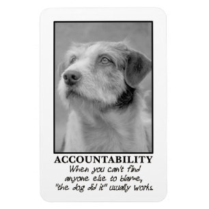 Íman Deixe o cão assumir a culpa por seus peidos