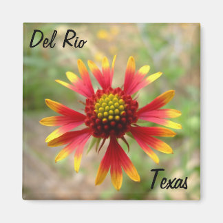 Íman Del Rio Texas magnet blanketflower wildflower texa