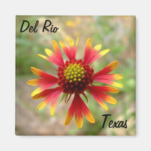 Íman Del Rio Texas magnet blanketflower wildflower texa (Frente)
