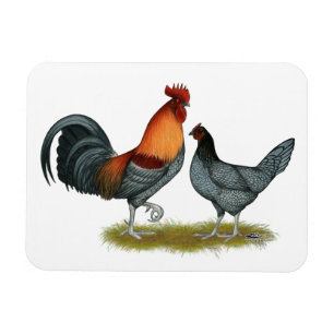 Íman Delaware Blue Hen