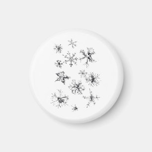 Íman Delicar Flocos de Neve de Queda