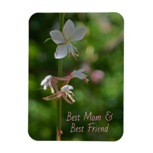 Íman Delicar Flores Rosa Melhor Magneta Amiga Da Mãe