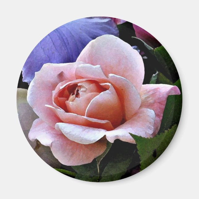 Íman Delicar Rosa Magnet (Frente)