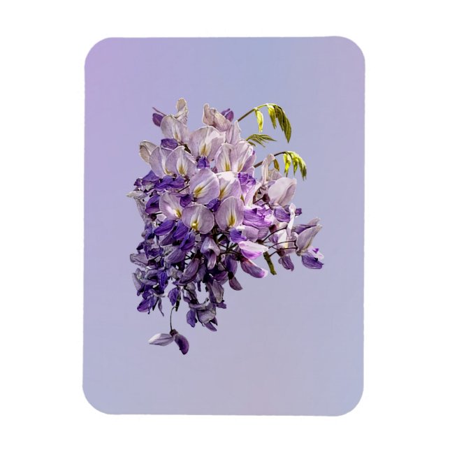 Íman Delicate Wisteria (Vertical)