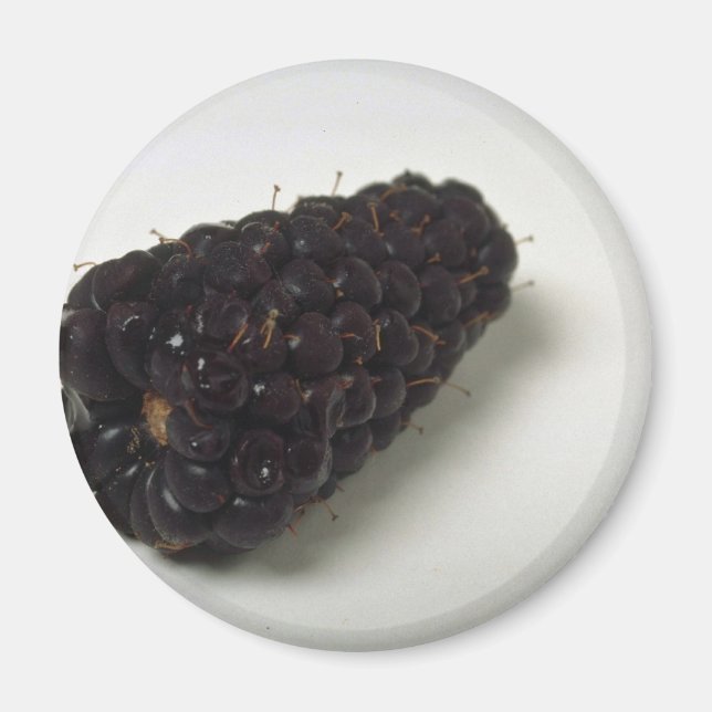 Íman Delicious Blackberry (Frente)