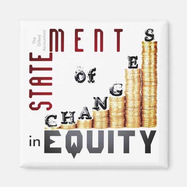 Íman "Demonstração De Alterações No Capital Próprio" (Frente)