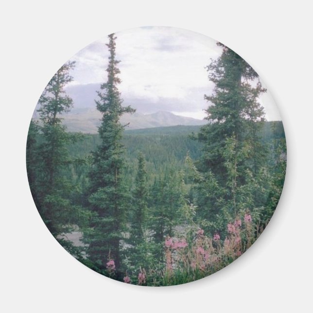 Íman Denali - Alasca (Frente)