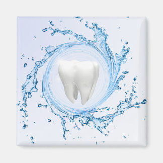 Íman Dentista Dental Dental Tooth Professional