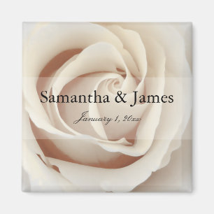 Íman Dentro de um rosa branco do sorvete