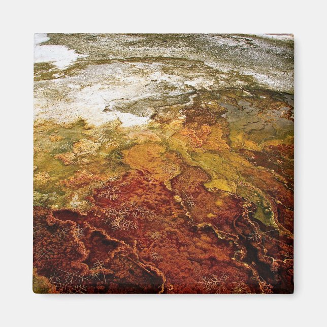 Íman Depósitos minerais multicoloridos em Yellowstone (Frente)