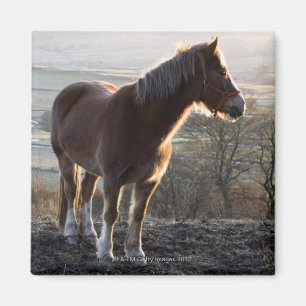 Íman Derbyshire, Inglaterra