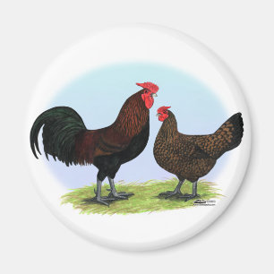 Íman Derbyshire Redcap Fowl