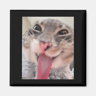 Íman Derpy Cat Tongue Out Meme Engraçado Weirdcore Me O
