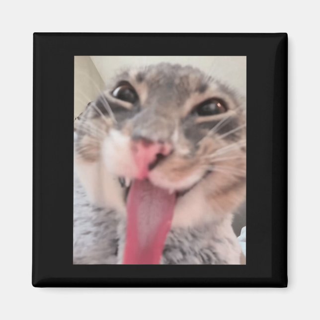 Íman Derpy Cat Tongue Out Meme Engraçado Weirdcore Me O (Frente)