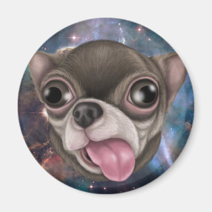 Íman Derpy Chihuahua