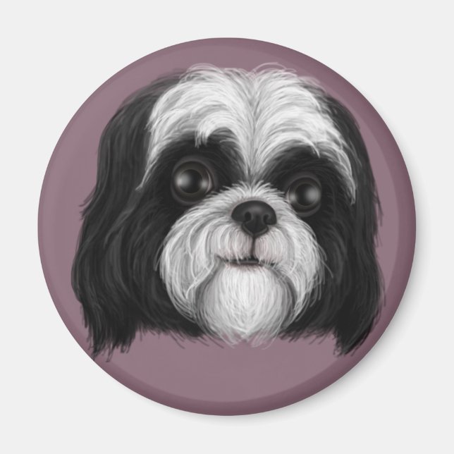 Íman Derpy Shih Tzu (Frente)