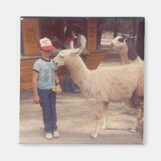 Íman Derramado Hum Biting Llama (Frente)