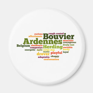 Íman DES Ardennes de Bouvier