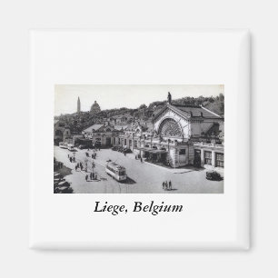 Íman DES Guillemins de Gare, vintage de Liege Bélgica