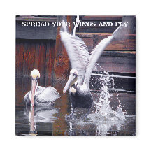 Desativação Pelicana