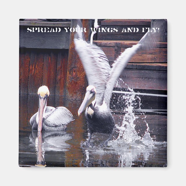 Íman Desativação Pelicana (Frente)