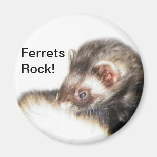 Íman Desativar Imagem de Ferret