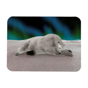 Íman Descanso de Urso Polar
