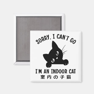 Íman Desculpe, não posso ir. Sou um gatinho engraçado.