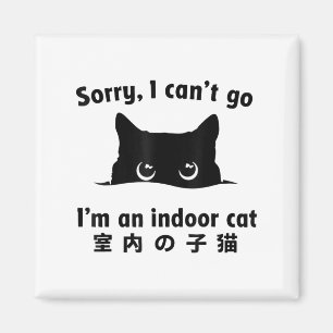 Íman Desculpe, não posso ir, sou um gatinho engraçado a