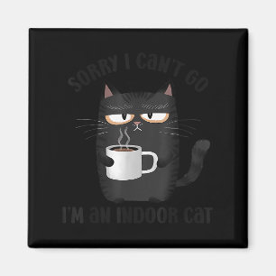 Íman Desculpe, Não Posso Ir, Sou um Gato Indoor Diverti