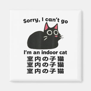 Íman Desculpe, não posso ir, sou um gato interior engra