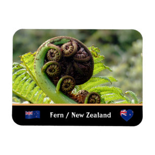 Íman Desdobrando Fern, Nova Zelândia, Wilderness