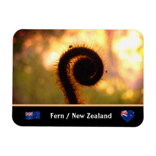 Íman Desdobrando Fern, Nova Zelândia, Wilderness/Aotea